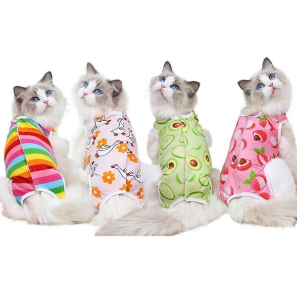Buy Funky Small Dog & Cat Recovery Suit Clothe & Pajamas in Rwanda