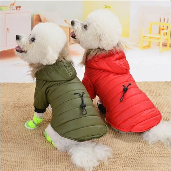 Clothes for Small Dogs Petsasa Cold Weather Furry Dog Jacket in Kigali Rwanda
