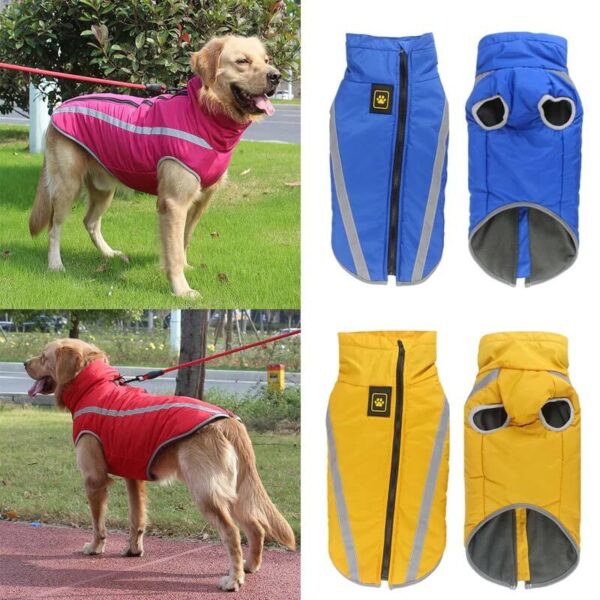 Buy Petsasa Padded Outdoor Dog Jacket, Medium & Large Dogs Online in Kigali Rwanda Pet Store