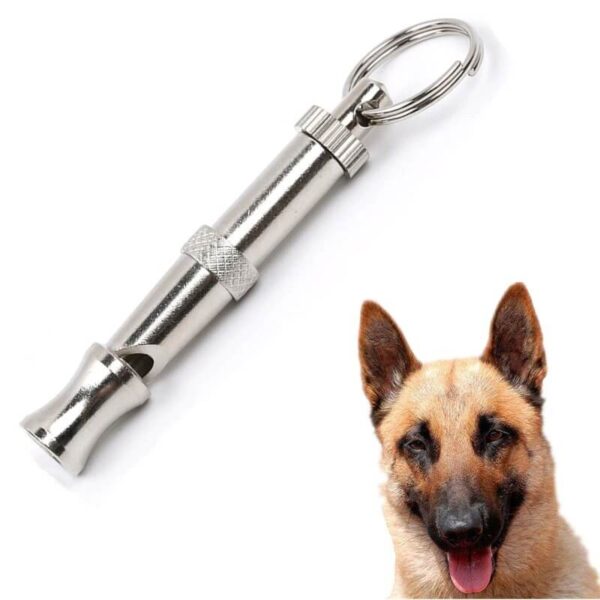 Professional Dogs Training Dog Whistle in Kigali Rwanda