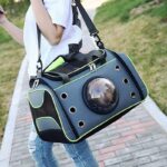 Best Space Capsule Airline-Approved Dog & Cat Carrier Bag in Kigali Rwanda