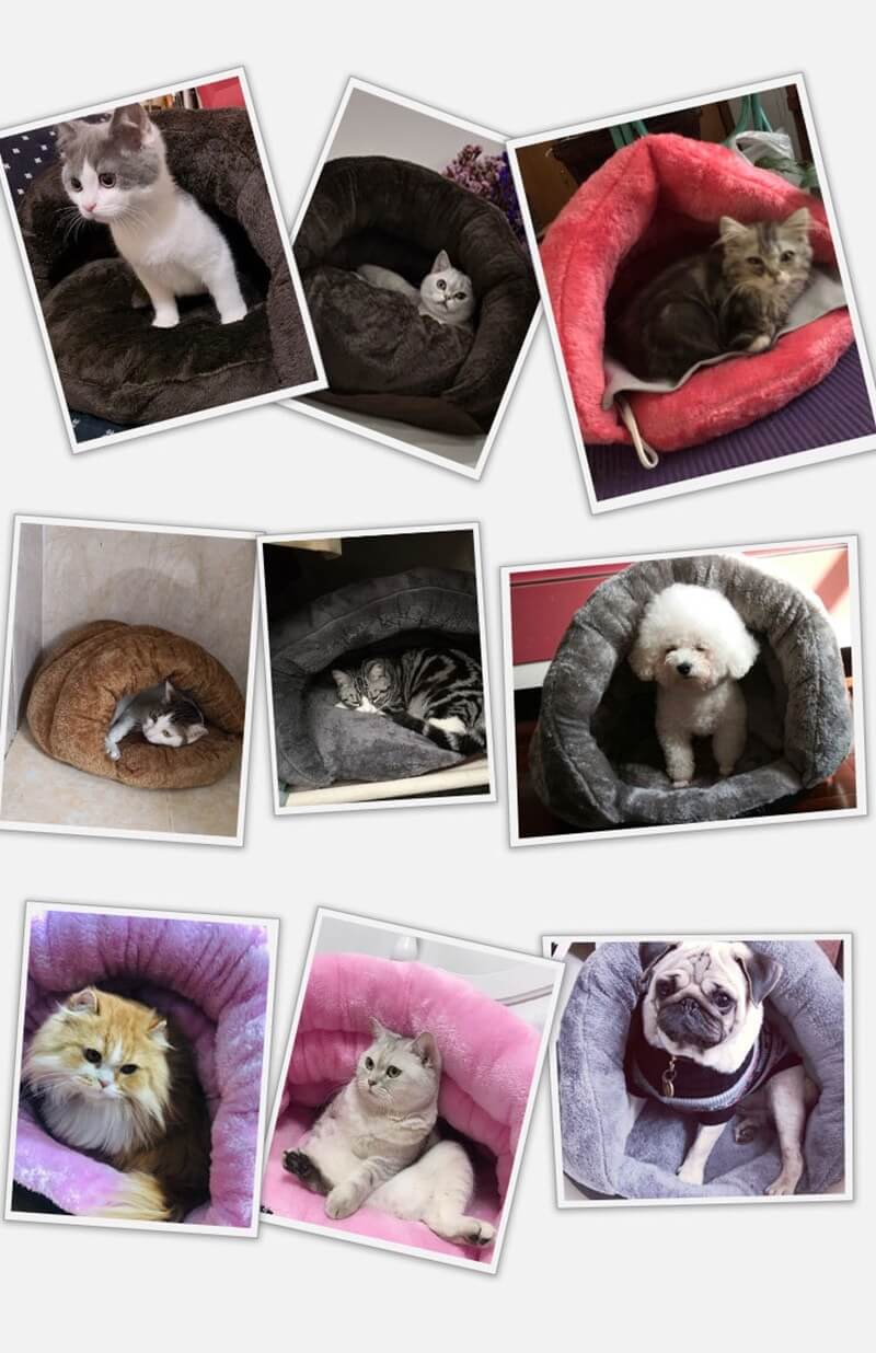 Best Soft and snuggle cave warm cat bed at Petsasa Rwanda