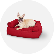 Pet Store and Pet Services in Rwanda 27