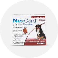 Pet Store and Pet Services in Rwanda 29
