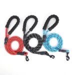 Comfortable Petsasa Reflective Rope Dog Leash with Padded Handle in Rwanda