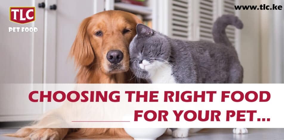 TLC Top Pet Food Brands in Rwanda What Food Should I buy For My Cat or Dog