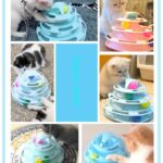 Best Selling Kitten Cat Tracks Interactive Turntable Exercise Toy at Petsasa Rwanda