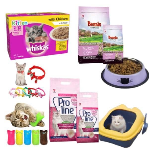 Kitten Essentials Starter Bundle for New Kitten Owners in Kigali Rwanda