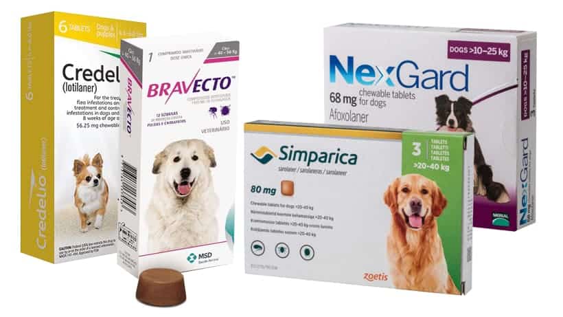 Dog Flea & Tick Treatment & Medicine in Rwanda