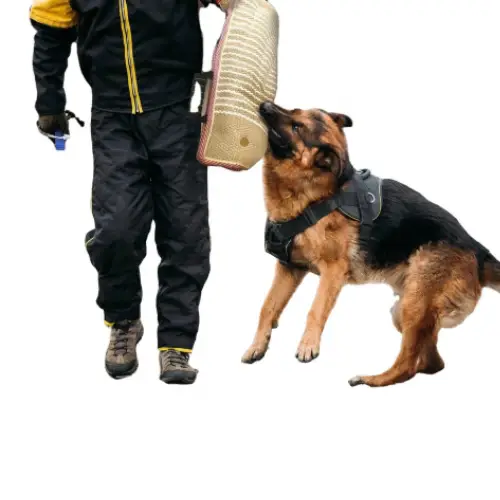 Buy Professional Dog Training Bite Sleeve at Petsasa Rwanda in Kigali