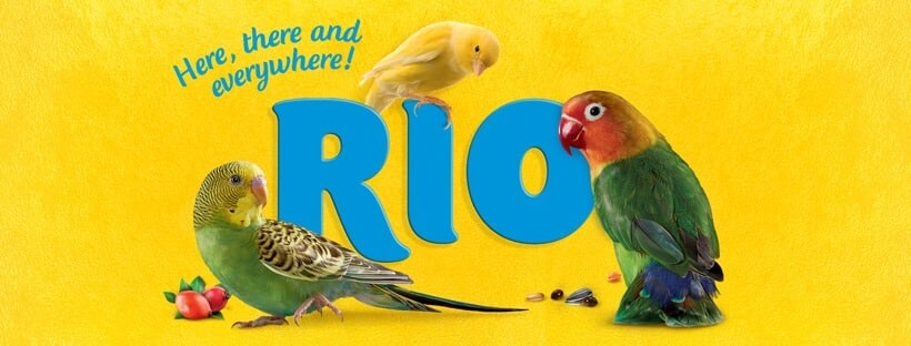 Rio Bird Food Brand at Petsasa Pet Store Rwanda