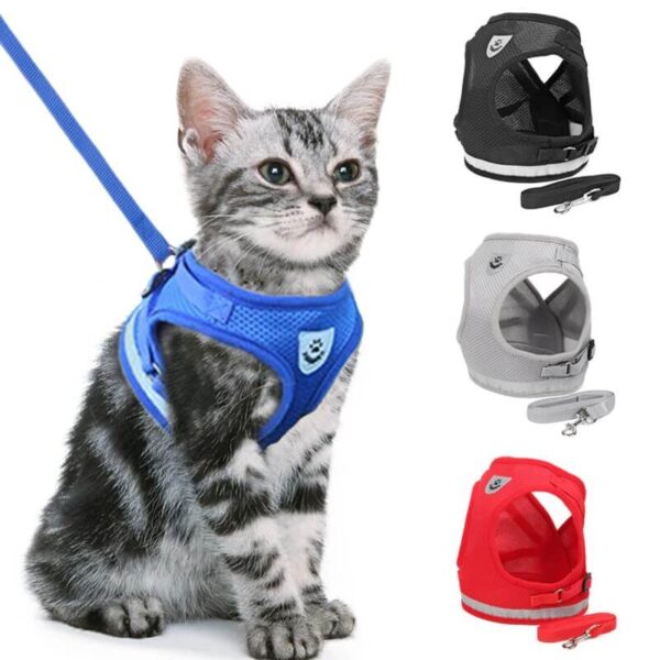 Buy Step-In Soft Vest Cat Harness + Leash at Petsasa Rwanda in Kigali