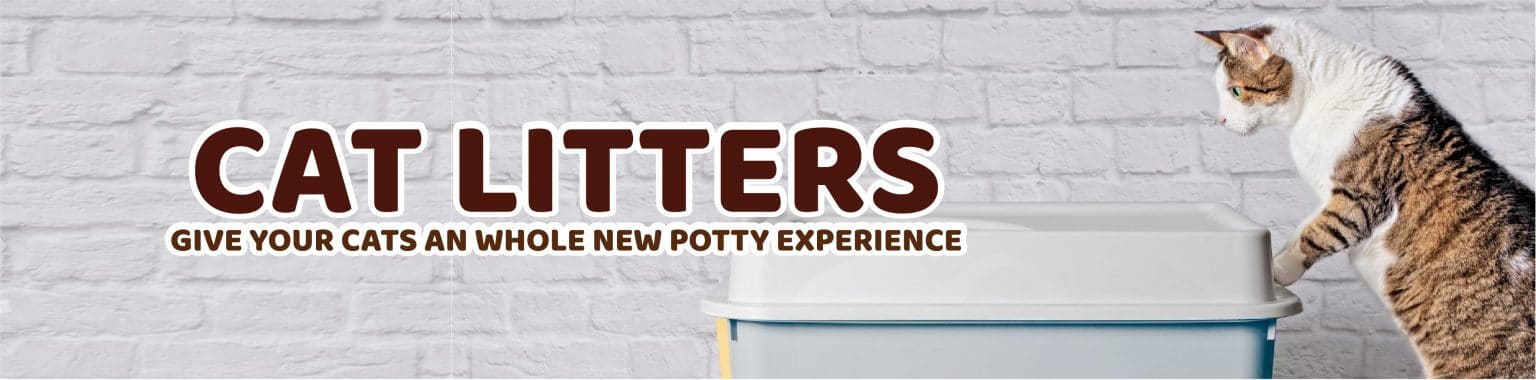 Kit Cat Cat Litter Brand in Rwanda