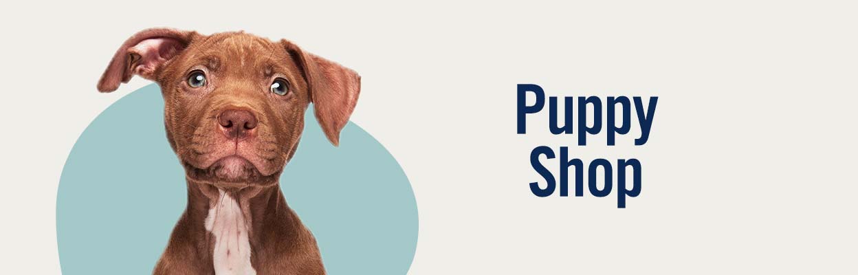 Pet Store and Pet Services in Rwanda 19
