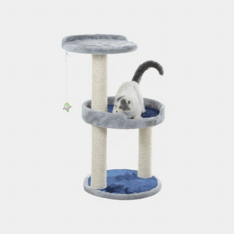 Pet Store and Pet Services in Rwanda 12