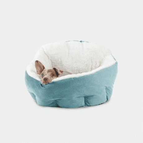 Pet Store and Pet Services in Rwanda 13