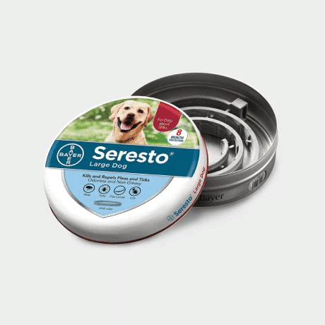Pet Store and Pet Services in Rwanda 16