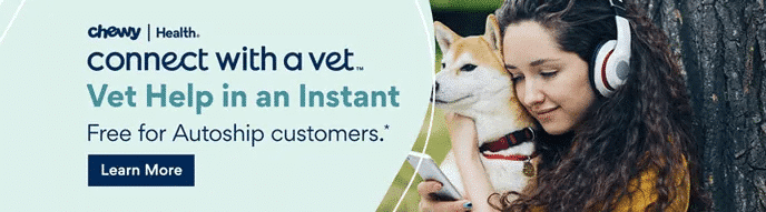Pet Store and Pet Services in Rwanda 31