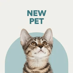 Pet Store and Pet Services in Rwanda 34