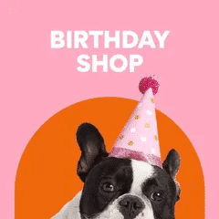 Pet Store and Pet Services in Rwanda 36
