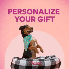 Pet Store and Pet Services in Rwanda 37