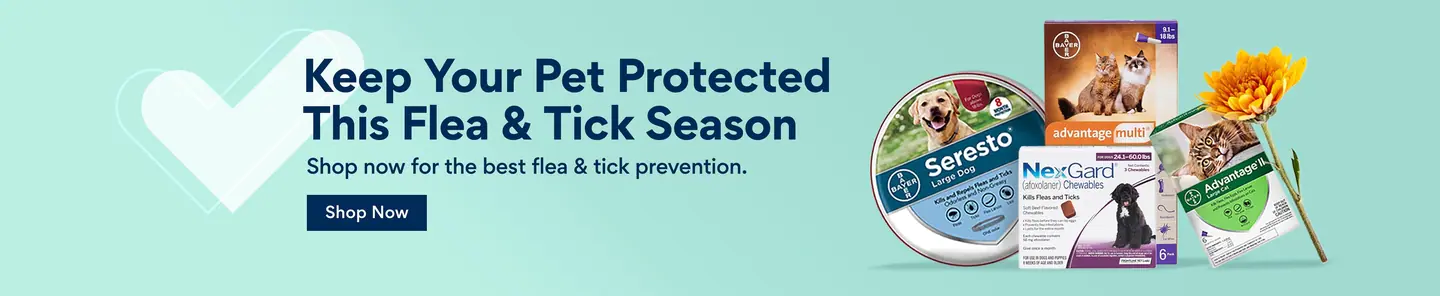 Pesticides Flea and Tick Season Slider Banner