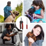 Best Professional Nail Trimmer for Dogs + Dog Nail File in Rwanda at Petsasa Online Petstore