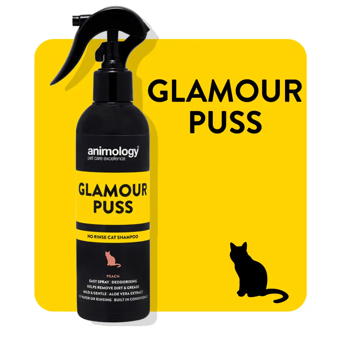 Animology-Glamour-Puss-No-Rinse-Cat-Shampoo-250ml Buy Animology Glamour Puss No Rinse Cat Shampoo in Rwanda at Petsasa Petstore Kigali