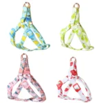 Best Choise of Autumn Fruits Step In Back Clip Dog Harness & Leash in Rwanda