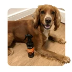 Buy Animology Dirty Dawg No Rinse Dog Shampoo dry dog shampoo in Rwanda