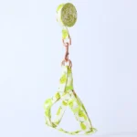 Most Beautiful Best Choise of Autumn Fruits Step In Back Clip Dog Harness & Leash in Rwanda Petshops