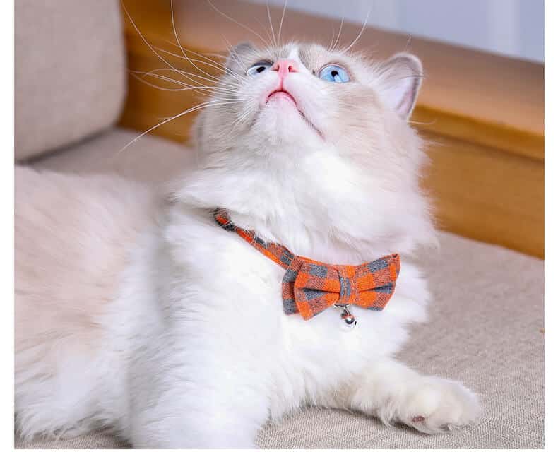 Most Beautiful Festive Plaid Breakaway Collar With Removeable Bow & Bell , For Cats and Dogs in Kigali Rwanda