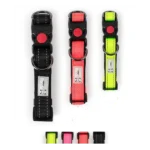 Buy Safety Lock Adjustable Dog Collar online in Rwanda at Petsasa Petstore