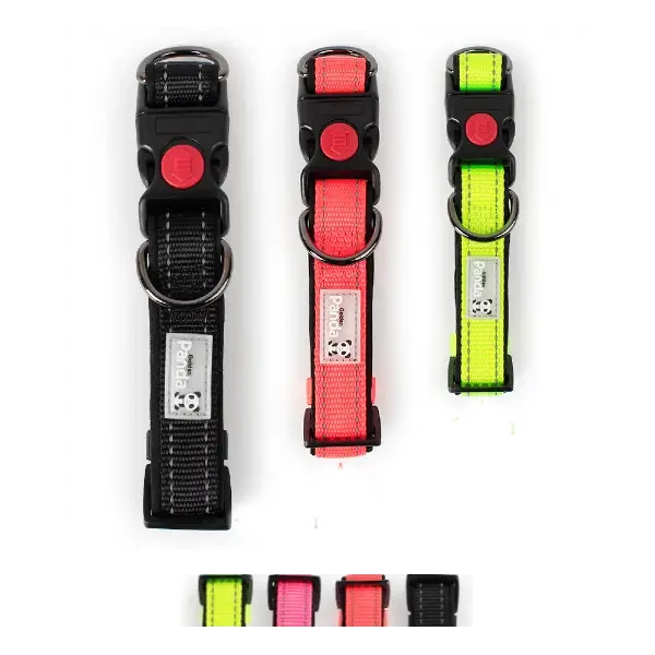 Buy Safety Lock Adjustable Dog Collar online in Rwanda at Petsasa Petstore