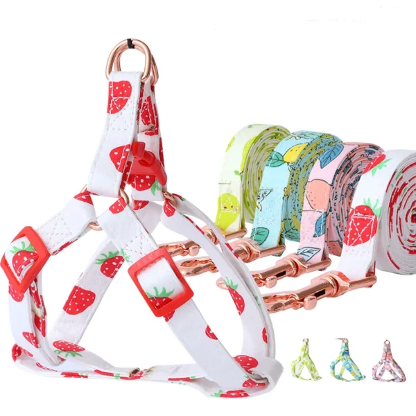Shop Autumn Fruits Step In Back Clip Dog Harness & Leash online in Rwanda