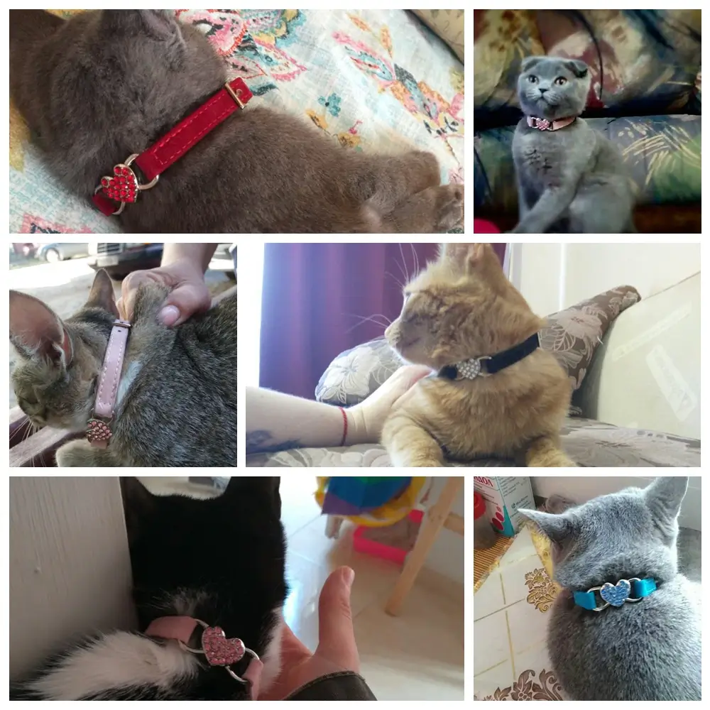 Showcasing picture review of Luxury Velvet Cat Collar with Crystals in Kigali Rwanda