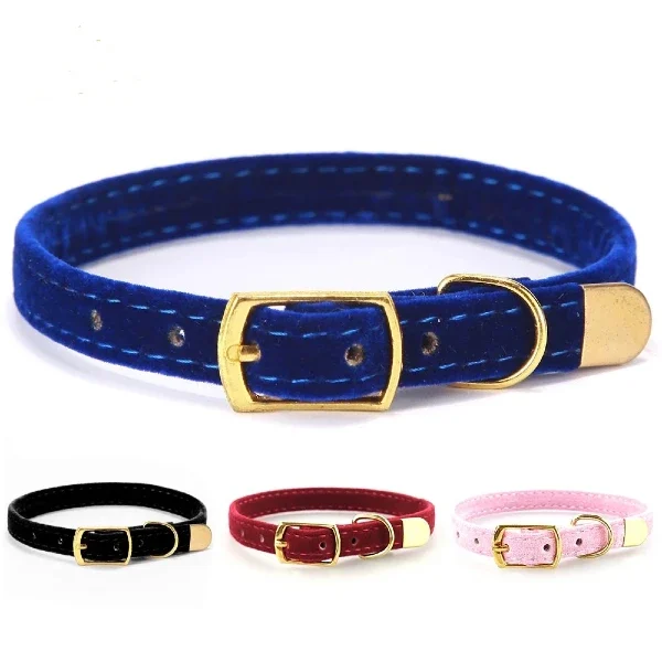 Buy Soft Velvet Cat Collar for For Cats Small Dogs in Rwanda at Petsasa Petstore