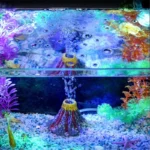 Beautiful Volcano Air Bubbler Fish Tank Aquarium Decor in Rwanda