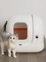 Buy Best PETKIT Pura Max Automatic Self-Cleaning Cat Litter Box in Kigali Rwanda