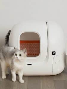 Buy Best PETKIT Pura Max Automatic Self-Cleaning Cat Litter Box in Kigali Rwanda