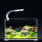 Buy Clip On Blue & White LED Aquarium Light in Kigali Rwanda