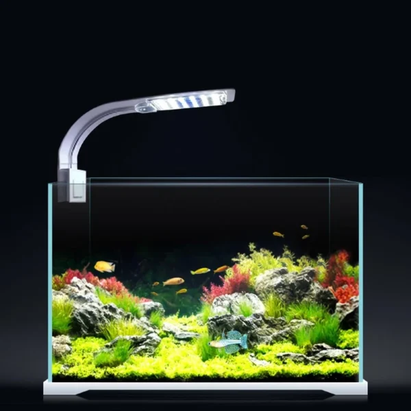 Buy Clip On Blue & White LED Aquarium Light in Kigali Rwanda