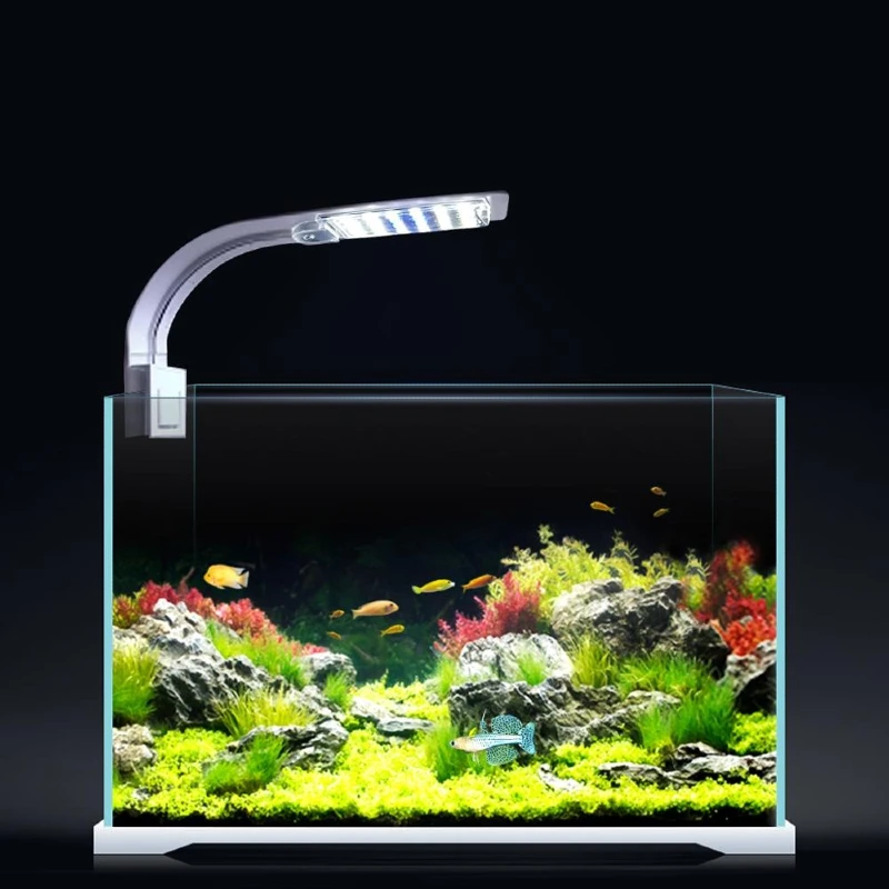 Clip On Blue & White LED Aquarium Light Buy Clip On Blue & White LED Aquarium Light in Kigali Rwanda