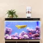 Buy Digital Timed Automatic Fish Feeder, Aquarium Food Dispenser at Petsasa Kigali Aquarium Shop