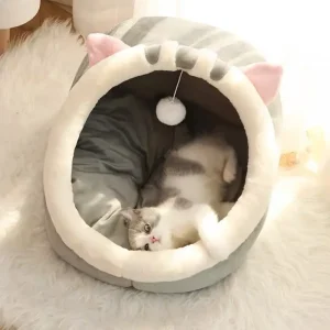 Grey Shorthair Romeow Lounger Covered Cat Bed for Petzone Rwanda