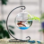 Buy Hanging Glass Fish Bowl Aquarium & Plant Vase Kigali Rwanda