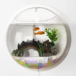 Modern Wall Hanging Fish Bowl Aquarium by Kigali Aquarium Shop