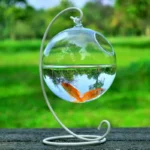 Hanging Glass Fish Bowl Aquarium & Plant Vase - Image 2