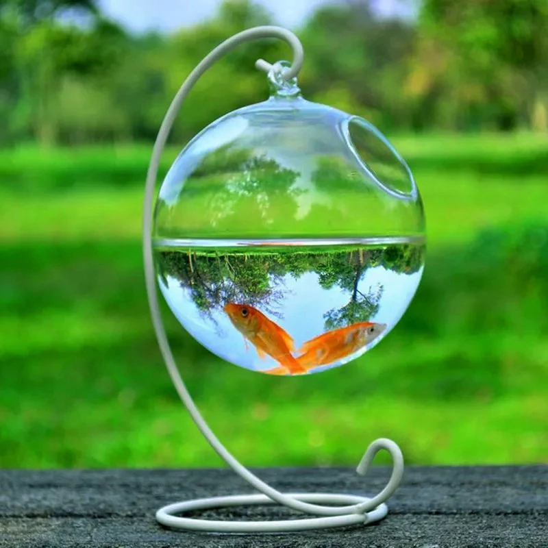 Hanging Glass Fish Bowl Aquarium & Plant Vase 1