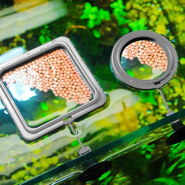 Aquarium Feeding Ring Fish & Turtle Tank Automatic Feeder Petsasa pet fish store in Kigali